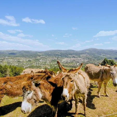 Pet Friendly In With Sauna Casa vacanze *